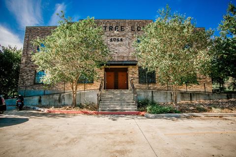 the front of the tree lofts building
