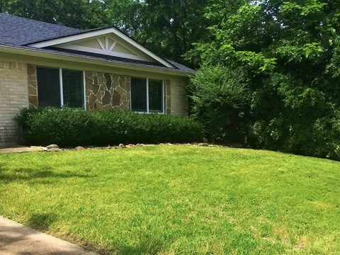 a yard in front of a house with grass and bushes