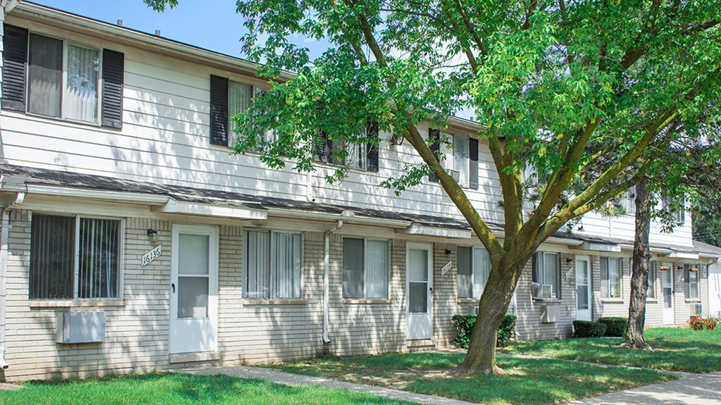 A tree in front of apartment buildings.