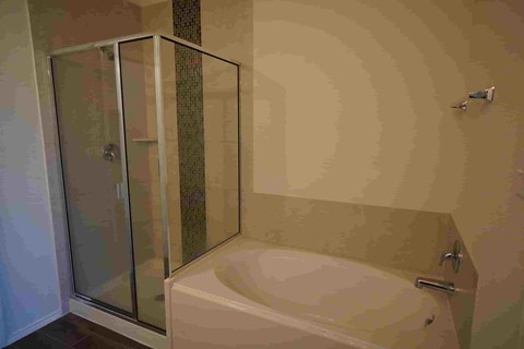 241 Pitt 4 Beds House for Rent - Photo Gallery 4