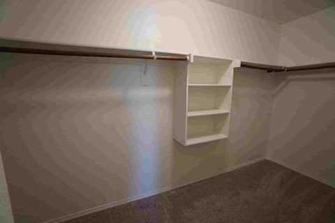 241 Pitt 4 Beds House for Rent - Photo Gallery 7