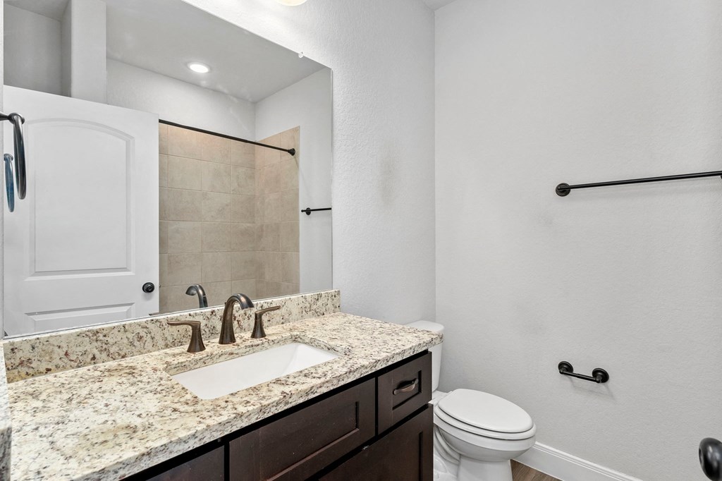 a bathroom with a sink and a toilet and a mirror