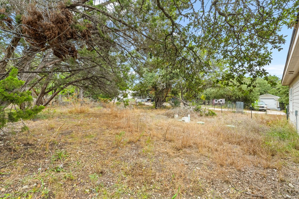 an empty yard with trees and a house