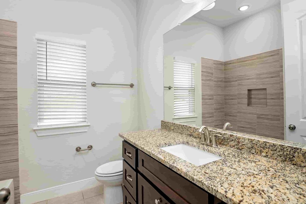 a bathroom with a sink and a toilet