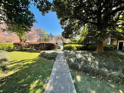 the sidewalk in front of a house with a tree