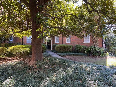 a tree and a sidewalk in front of a brick building