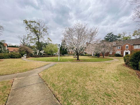 a pathway through a neighborhood with houses and trees