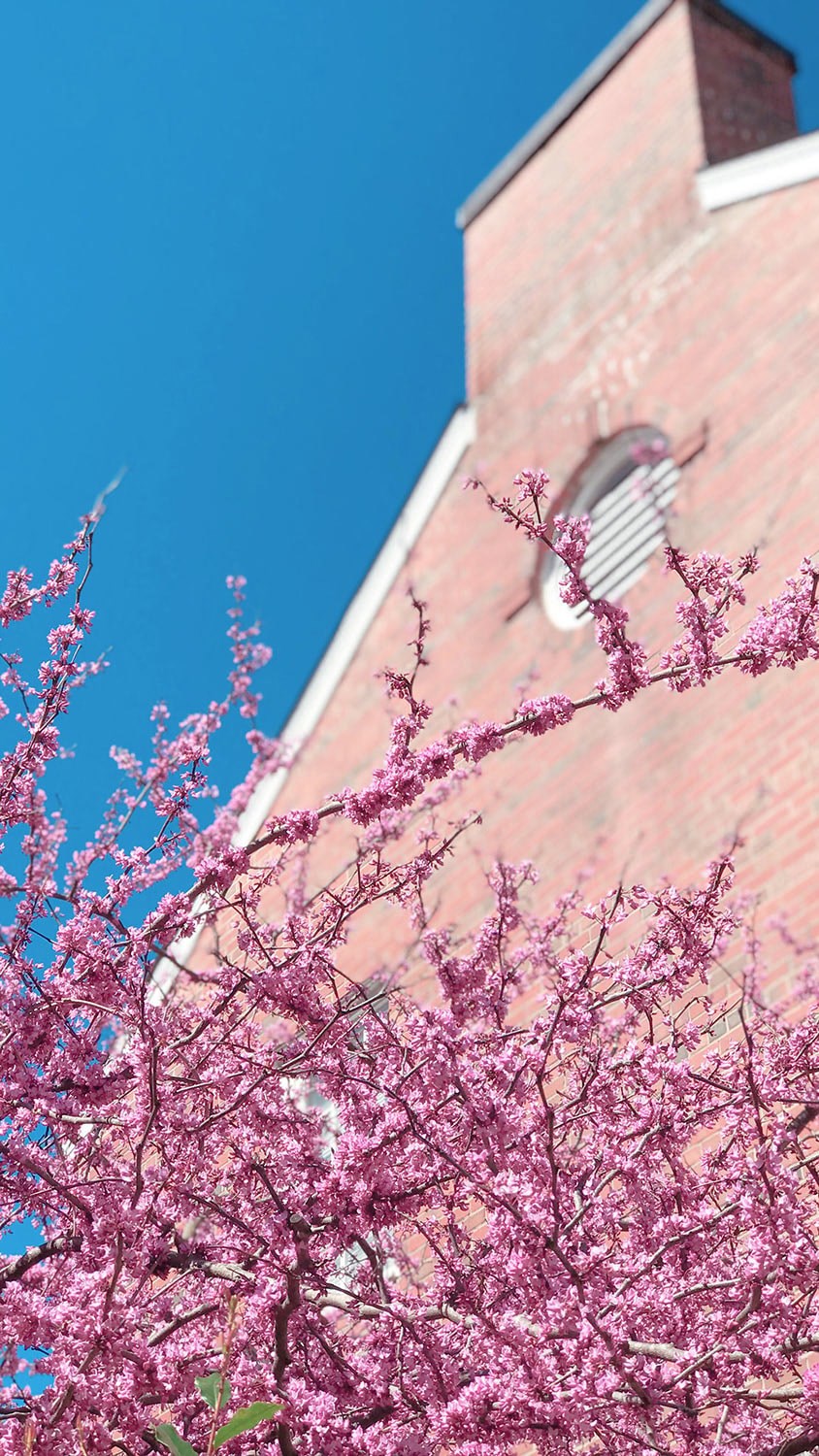 a red brick building with a blue sky and a tree with pink flowers