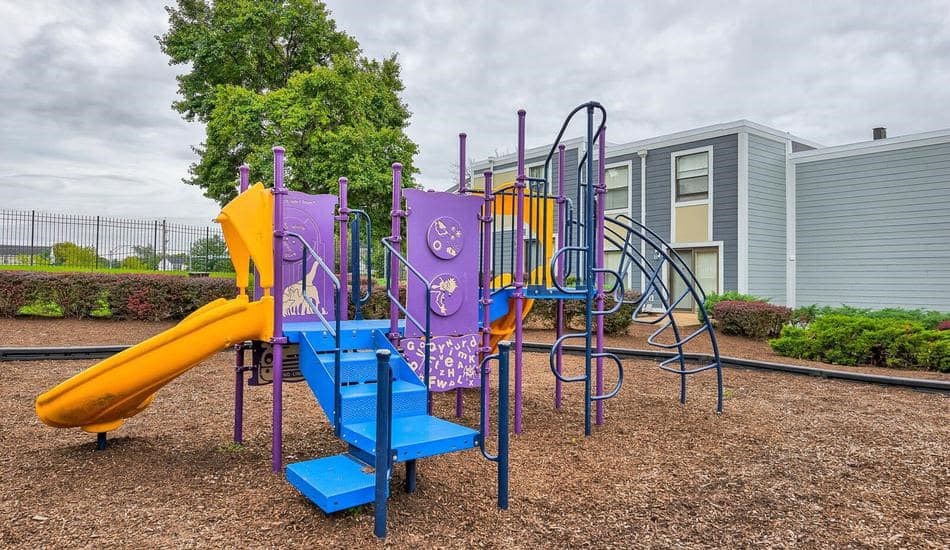 a playground with a purple and blue slide and