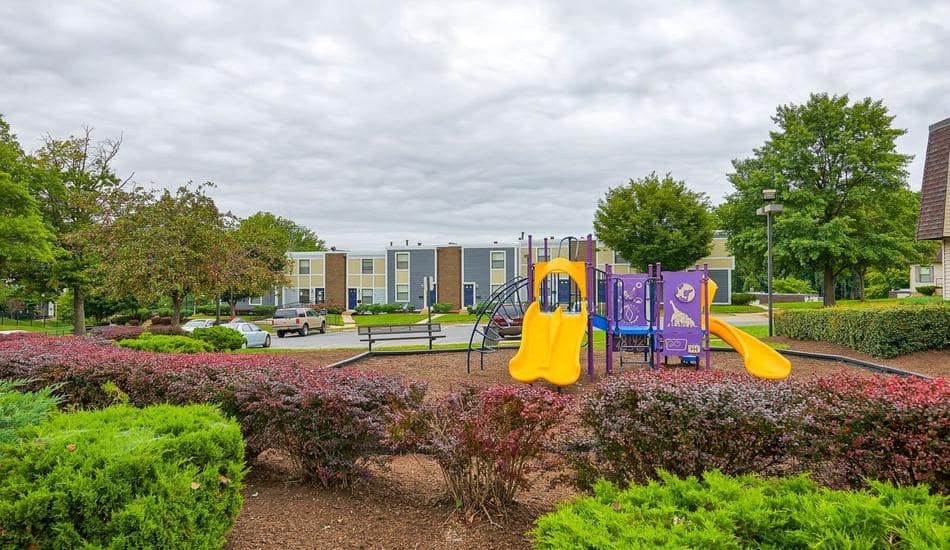 a playground with a bunch of slides in a park