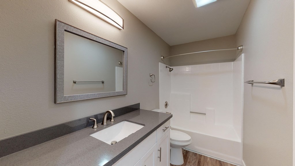 a bathroom with a sink and a mirror and a toilet