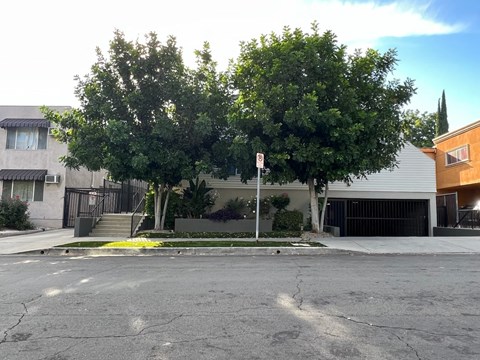 A street view with a no parking sign in the middle.