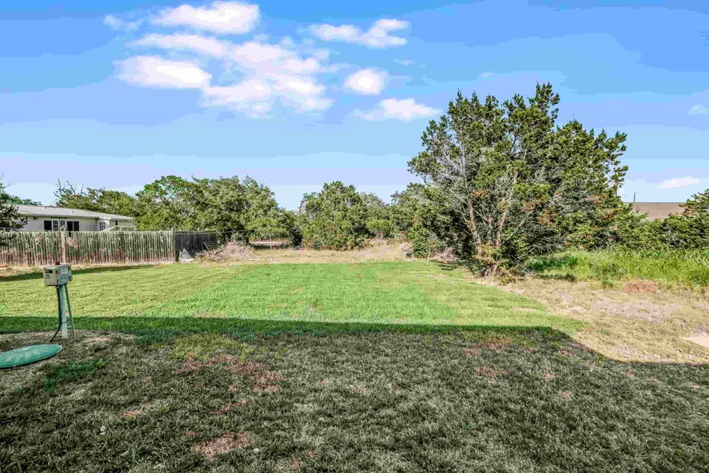 a backyard with a green lawn and a house in the background