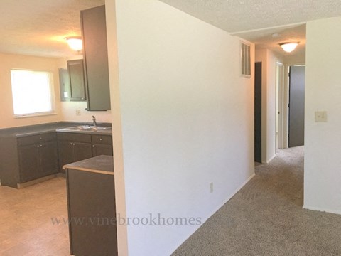 A kitchen with a sink and a window.