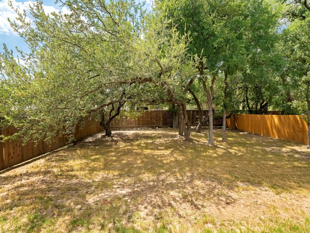 a backyard with trees and a wooden fence