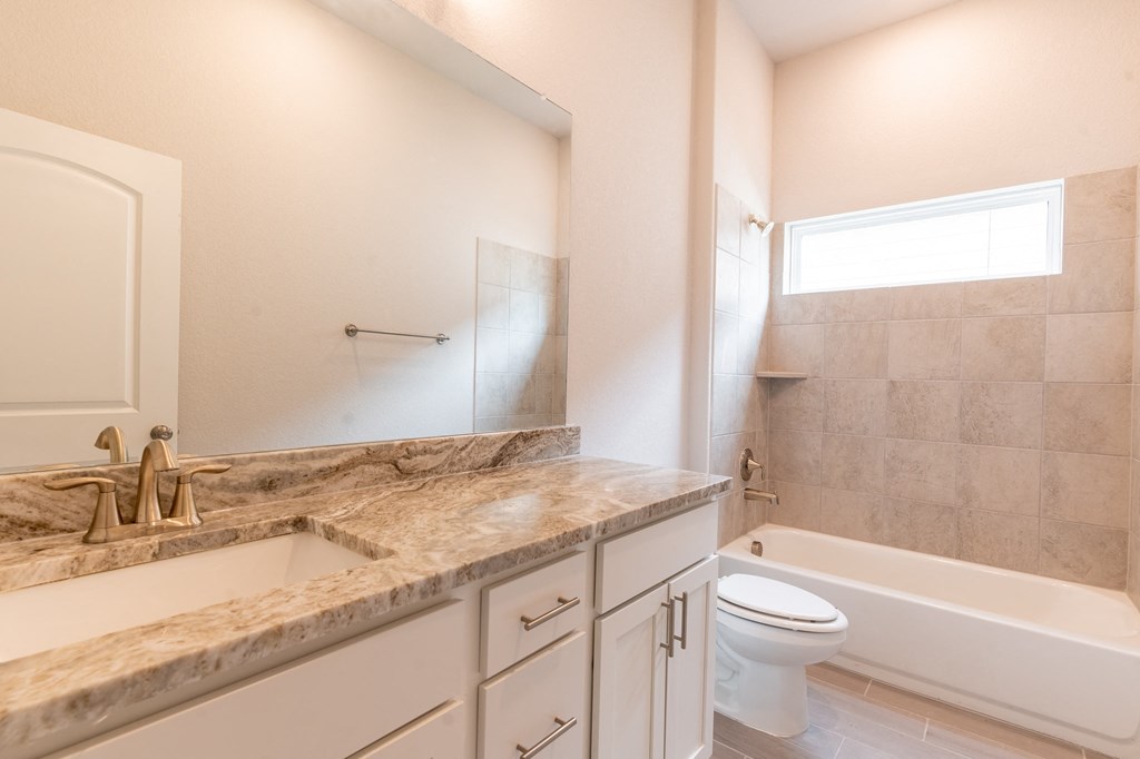 a bathroom with a sink and a toilet and a tub