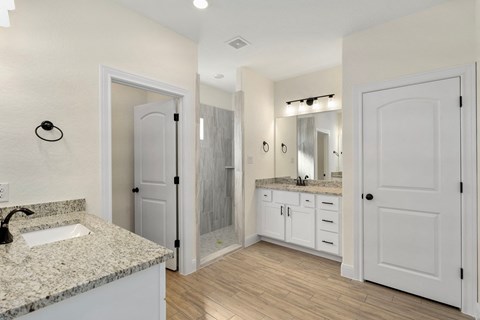 a bathroom with a sink and a mirror and a shower