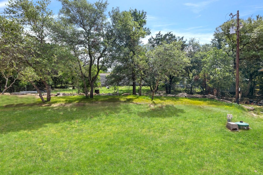 a park with trees and a bench in the grass
