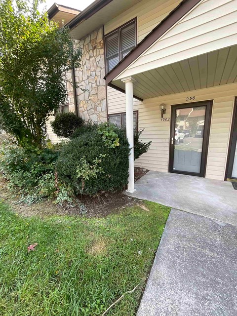A house numbered 250 with a green bush in front.