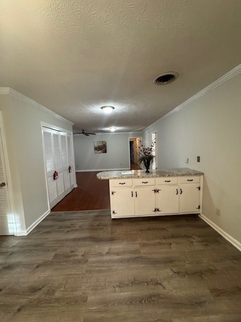 A kitchen with a counter and cabinets.