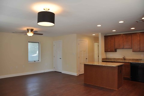 A kitchen with a counter and cabinets.