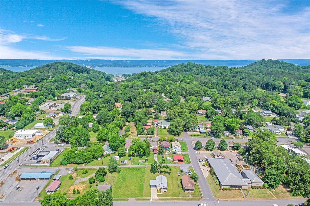 an aerial view of a neighborhood with trees and a lake in the background