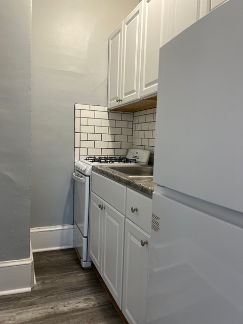 A white kitchen with a dishwasher and a washing machine.