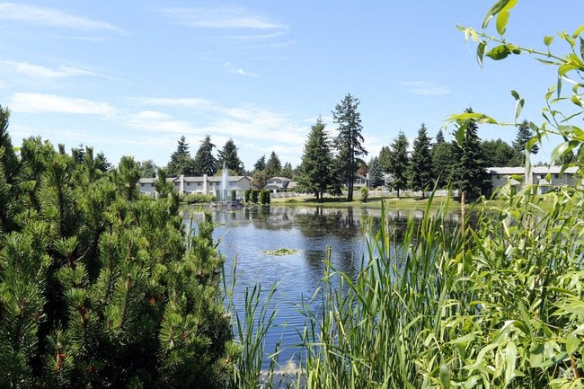 Alternate lake view from walking path