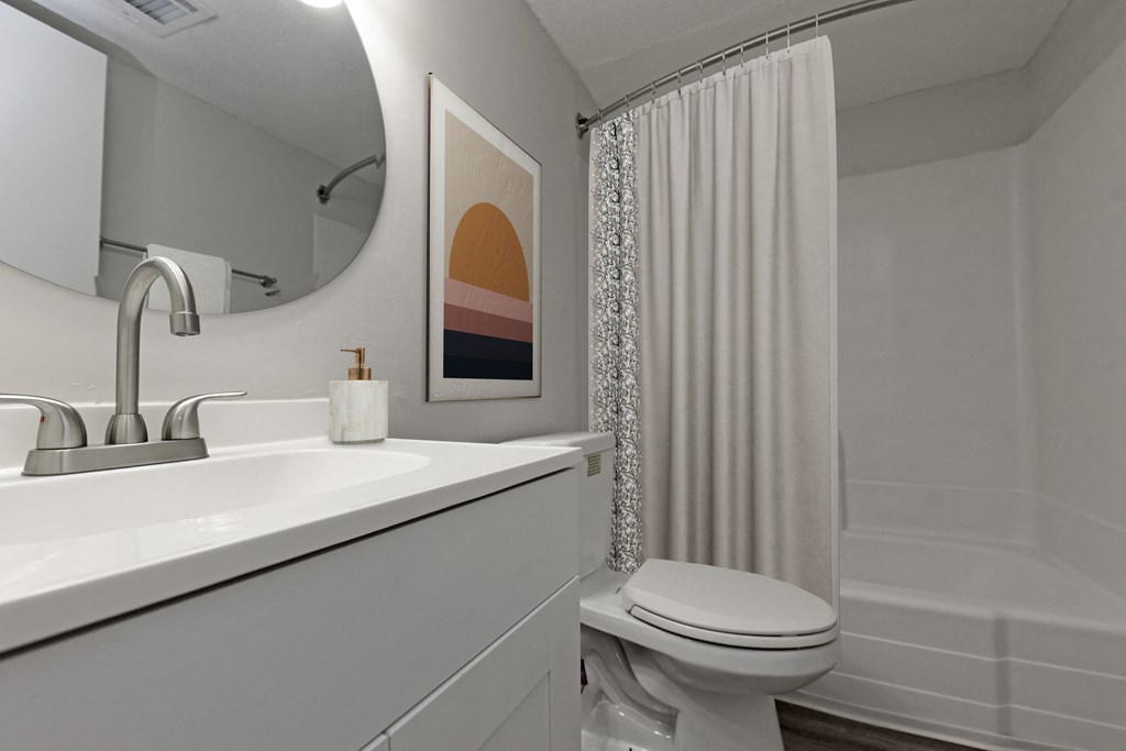 a bathroom with a sink and a toilet and a shower