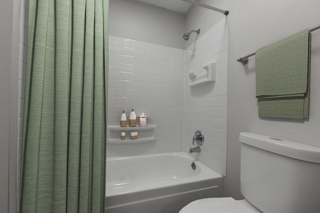 a bathroom with a shower curtain and a toilet and a tub