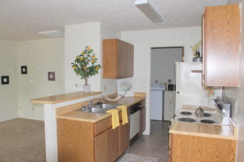 A kitchen with wooden cabinets and a stove top oven.
