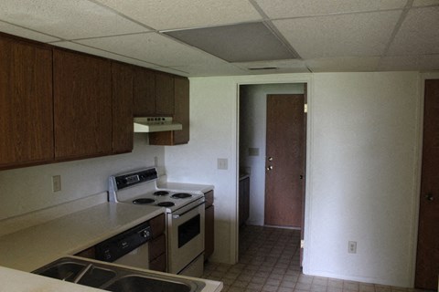 A kitchen with a stove top oven and a dishwasher.