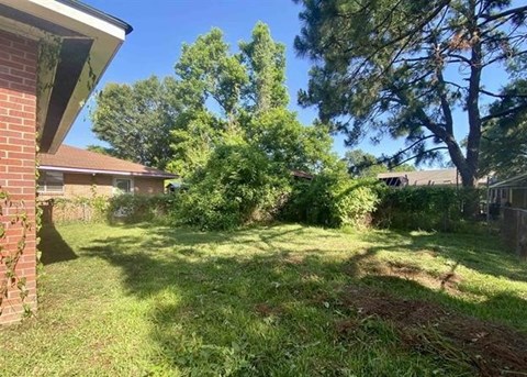 A backyard with a tree and a house in the background.