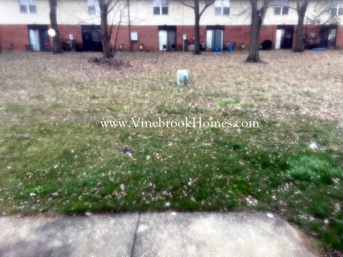a white dog standing in the grass in a yard