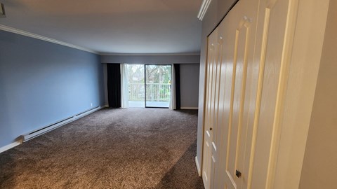 a bedroom with a closet and a window