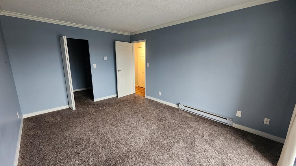 a room with blue walls and a carpeted floor