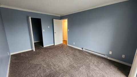 a room with blue walls and a carpeted floor