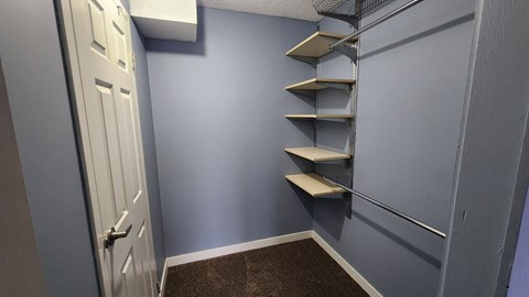 a closet with shelves on the wall and a door