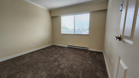 an empty room with carpet and a window