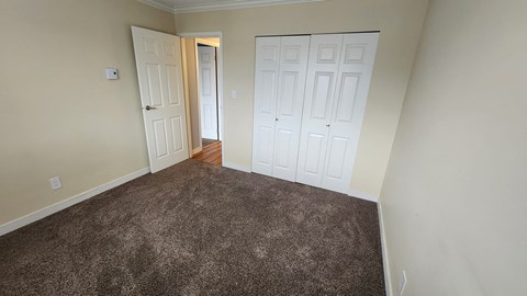 a bedroom with two closets and a carpeted floor