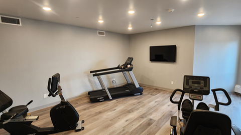 a gym with cardio equipment and a tv on the wall