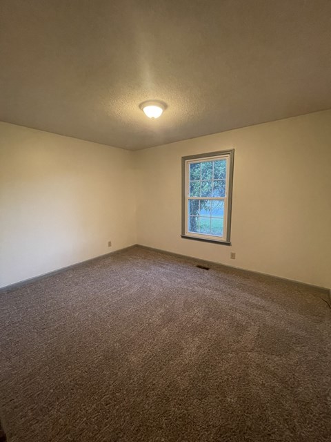 A room with a carpeted floor and a window with a view of trees outside.