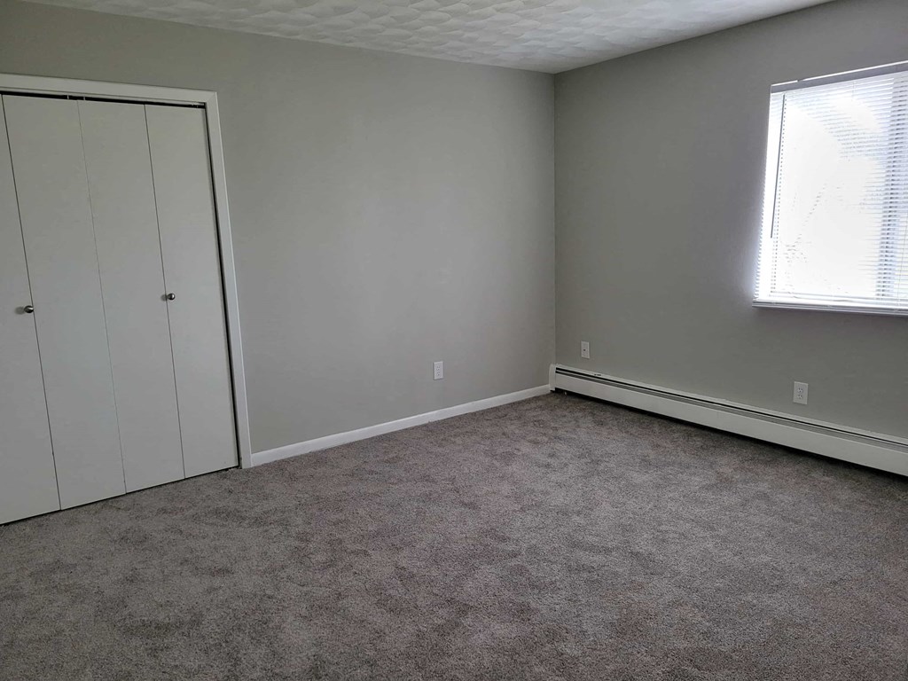 a room with a carpet and a closet