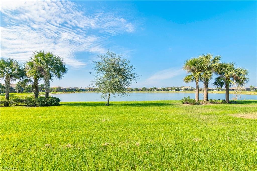 a grassy field with palm trees near a lake