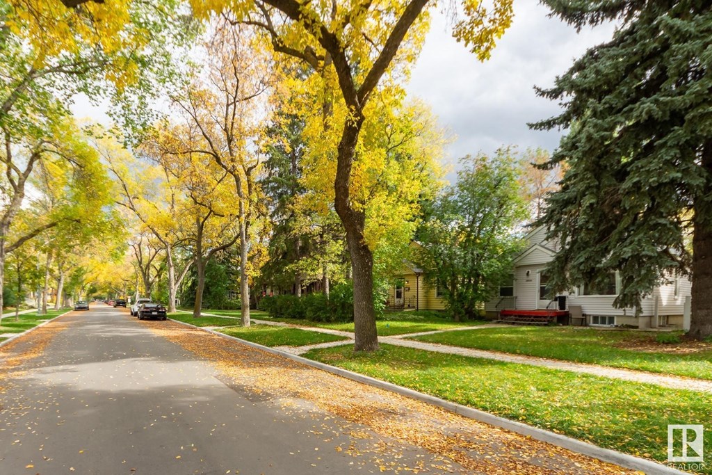a tree lined street in a neighborhood with houses and trees