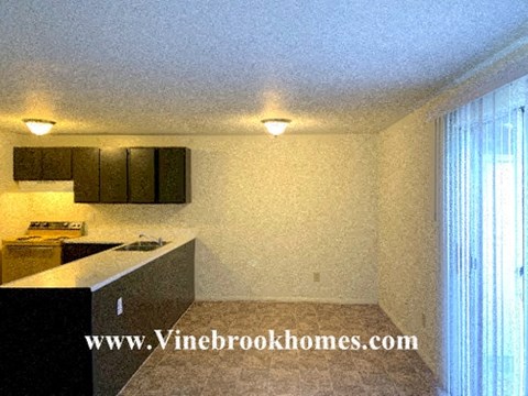 A kitchen with black cabinets and a countertop is shown.