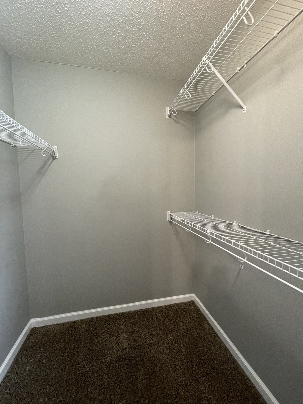 Empty walk-in closet with white shelving.