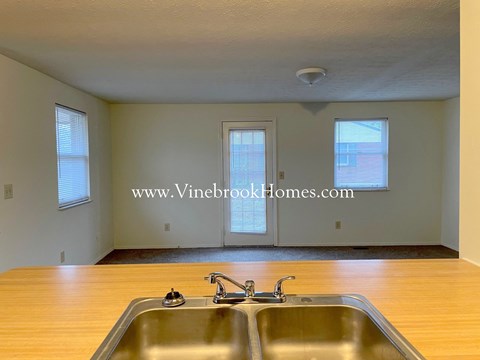 A kitchen with a sink and a window.