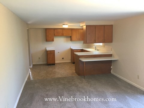 A kitchen area with a counter and cabinets.