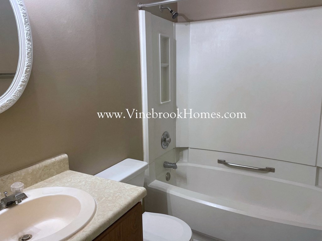 a bathroom with a sink and a toilet and a bath tub